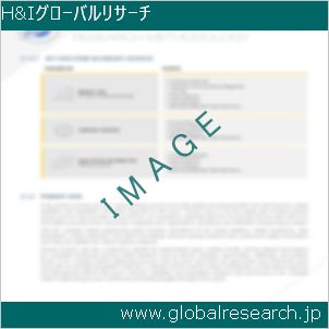 グローバルリサーチ調査レポートのイメージ